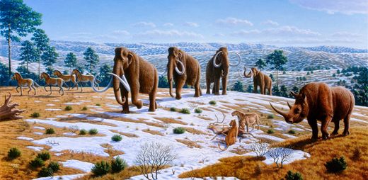 Illustration einer Mammutsteppe ( Mauricio Antón; https://en.wikipedia.org/wiki/Woolly_mammoth; CC BY 2.5)
